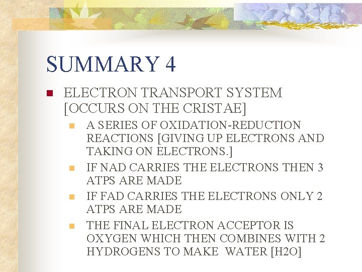 SUMMARY 4 n ELECTRON TRANSPORT SYSTEM [OCCURS ON THE CRISTAE] n n A SERIES