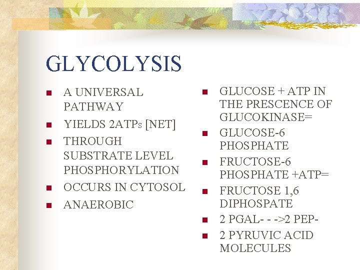GLYCOLYSIS n n n A UNIVERSAL PATHWAY YIELDS 2 ATPS [NET] THROUGH SUBSTRATE LEVEL