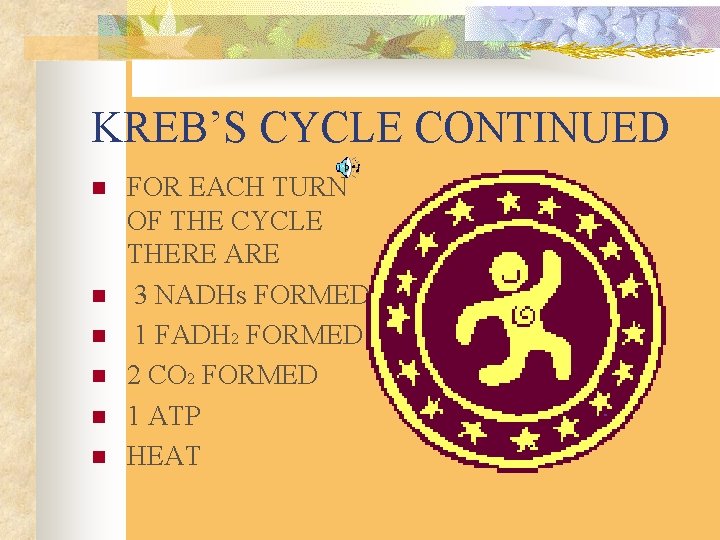 KREB’S CYCLE CONTINUED n n n FOR EACH TURN OF THE CYCLE THERE ARE