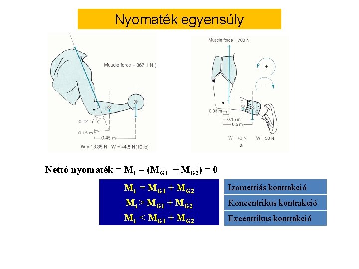 Nyomaték egyensúly Nettó nyomaték = Mi – (MG 1 + MG 2) = 0