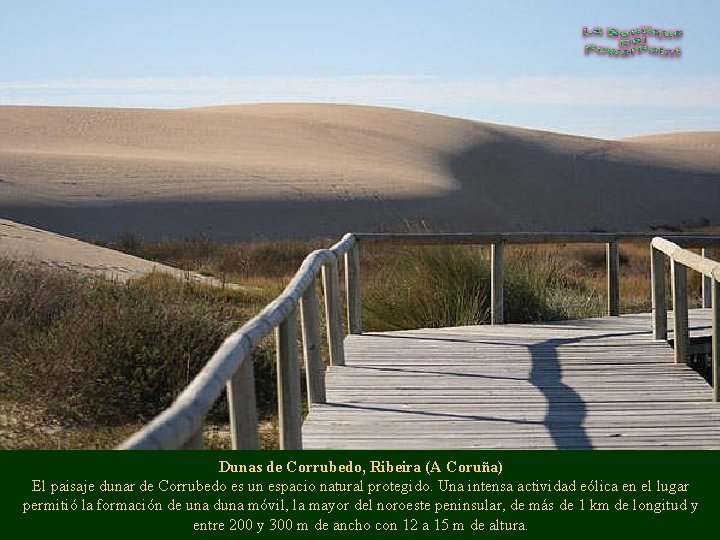 Dunas de Corrubedo, Ribeira (A Coruña) El paisaje dunar de Corrubedo es un espacio