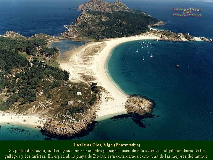 Las Islas Cíes, Vigo (Pontevedra) Su particular fauna, su flora y sus impresionantes paisajes