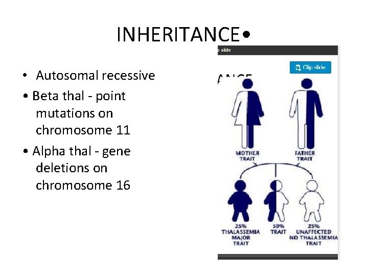 INHERITANCE • • Autosomal recessive • Beta thal - point mutations on chromosome 11