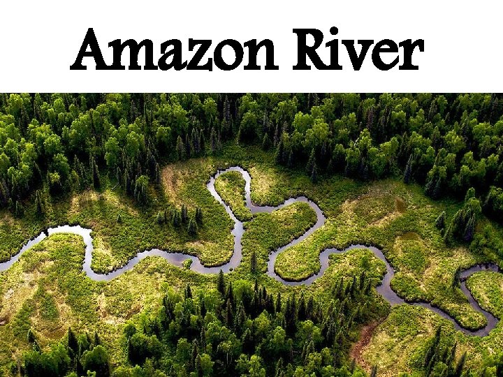 Amazon River 