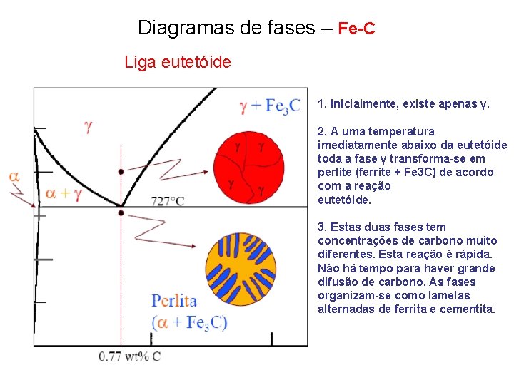 Diagramas de fases – Fe-C Liga eutetóide 1. Inicialmente, existe apenas γ. 2. A