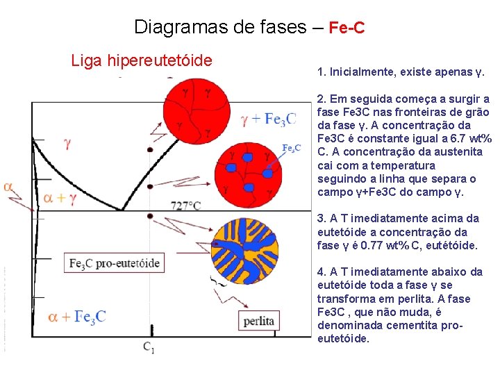 Diagramas de fases – Fe-C Liga hipereutetóide 1. Inicialmente, existe apenas γ. 2. Em