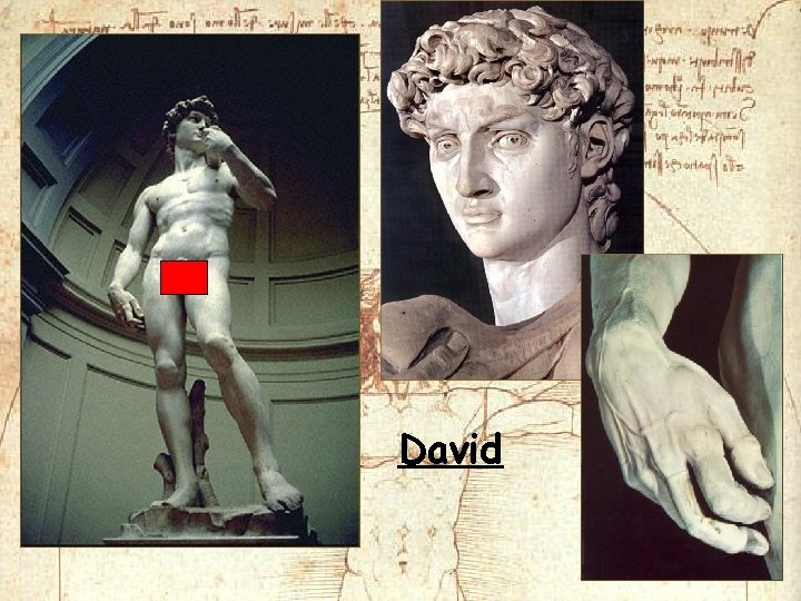 David David