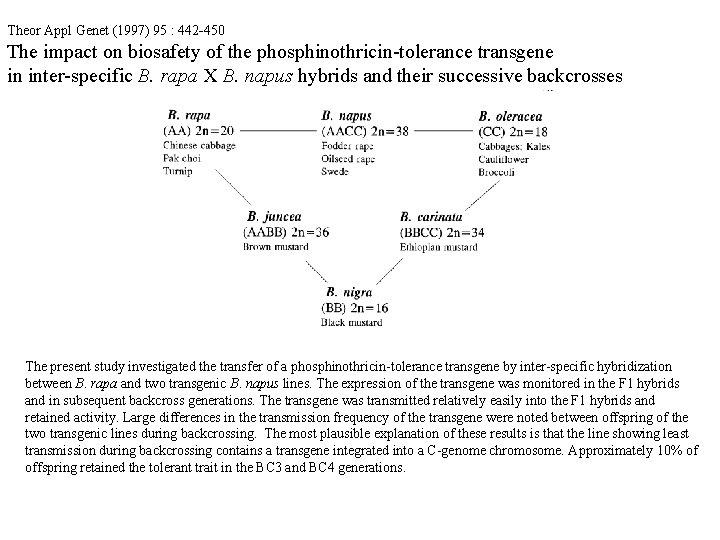 Theor Appl Genet (1997) 95 : 442 -450 The impact on biosafety of the