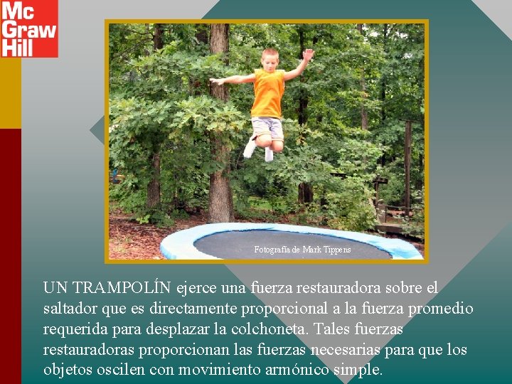 Fotografía de Mark Tippens UN TRAMPOLÍN ejerce una fuerza restauradora sobre el saltador que