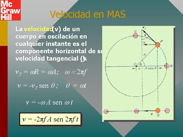 Velocidad en MAS La velocidad(v) de un cuerpo en oscilación en cualquier instante es