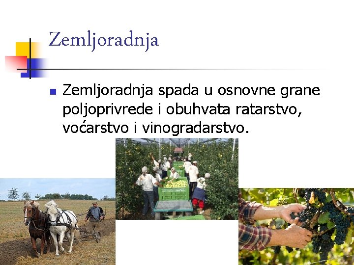 Zemljoradnja n Zemljoradnja spada u osnovne grane poljoprivrede i obuhvata ratarstvo, voćarstvo i vinogradarstvo.