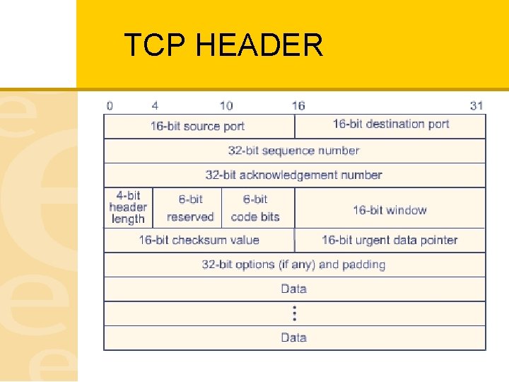 TCP HEADER 
