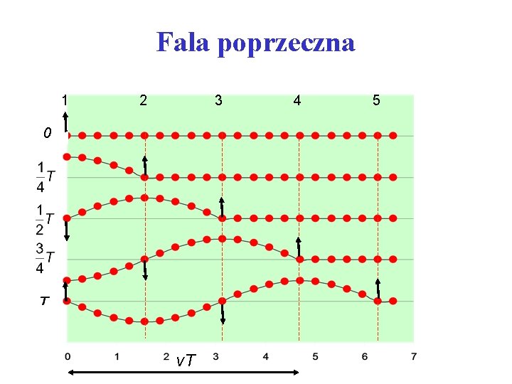 Fala poprzeczna 1 2 3 0 v. T 4 5 