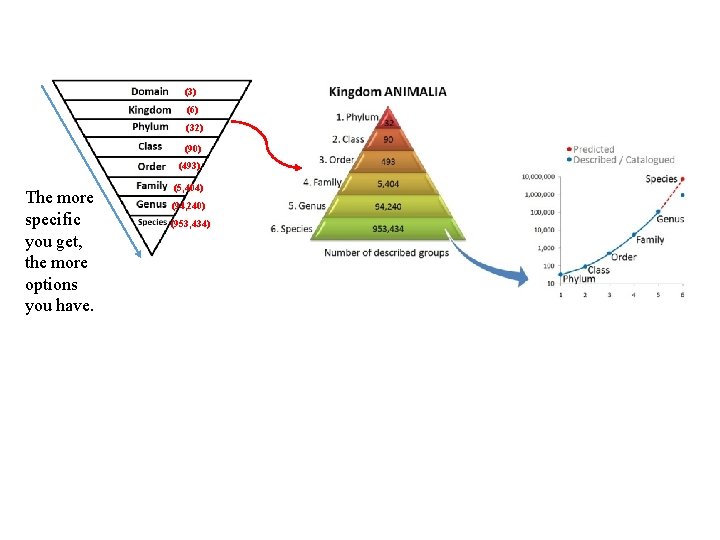 (3) (6) (32) (90) (493) The more specific you get, the more options you