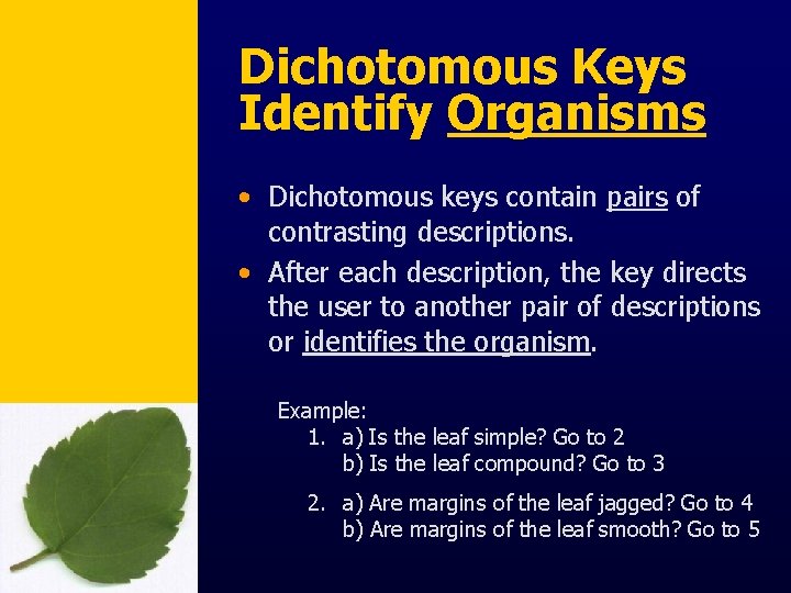 Dichotomous Keys Identify Organisms • Dichotomous keys contain pairs of contrasting descriptions. • After