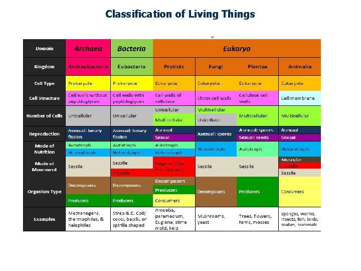Classification of Living Things 
