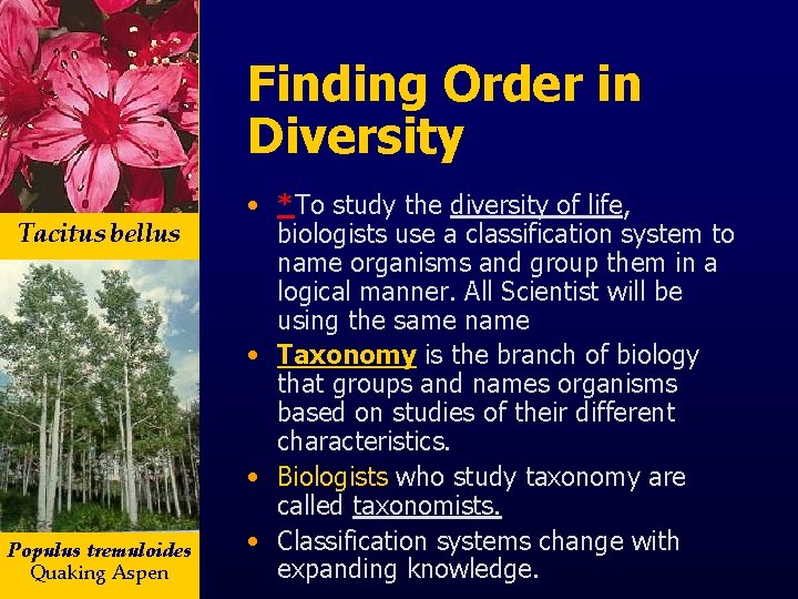 Finding Order in Diversity Tacitus bellus Populus tremuloides Quaking Aspen • *To study the