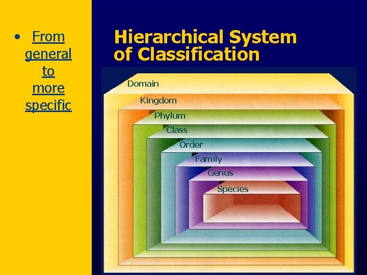  • From general to more specific Hierarchical System of Classification Domain Kingdom Phylum