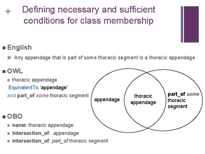 + Defining necessary and sufficient conditions for class membership n English n Any appendage