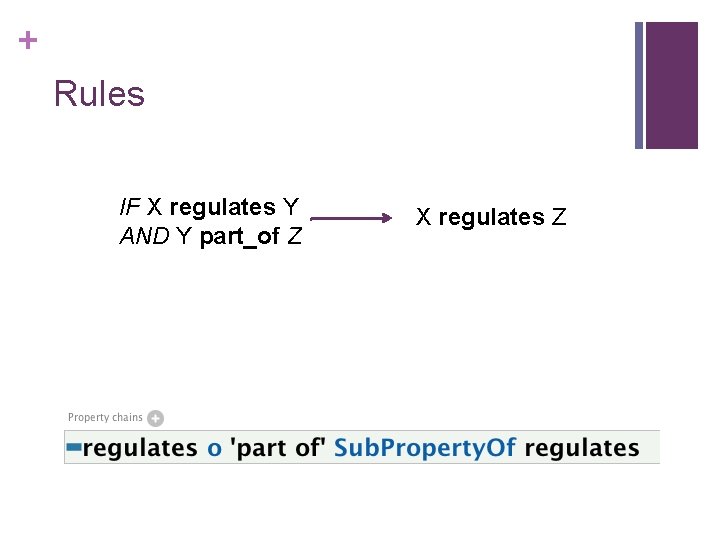 + Rules IF X regulates Y AND Y part_of Z X regulates Z 