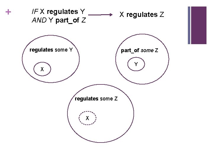 + IF X regulates Y AND Y part_of Z X regulates Z regulates some