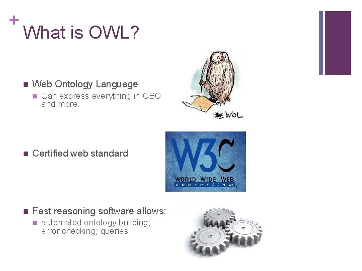 + What is OWL? n Web Ontology Language n Can express everything in OBO