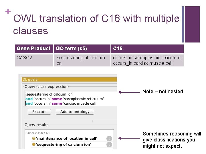 + OWL translation of C 16 with multiple clauses Gene Product GO term (c