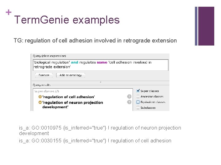 + Term. Genie examples TG: regulation of cell adhesion involved in retrograde extension is_a: