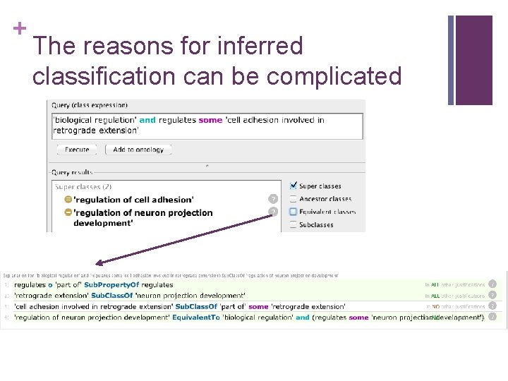 + The reasons for inferred classification can be complicated 