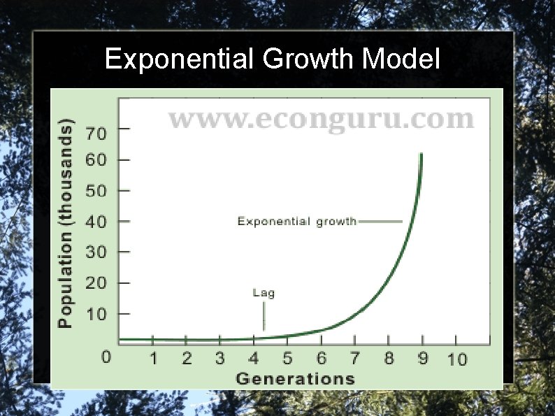 Exponential Growth Model 