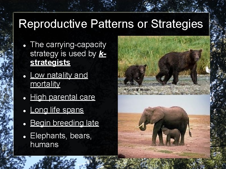 Reproductive Patterns or Strategies The carrying-capacity strategy is used by kstrategists Low natality and