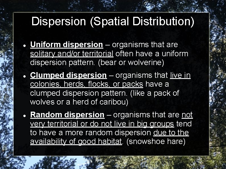 Dispersion (Spatial Distribution) Uniform dispersion – organisms that are solitary and/or territorial often have