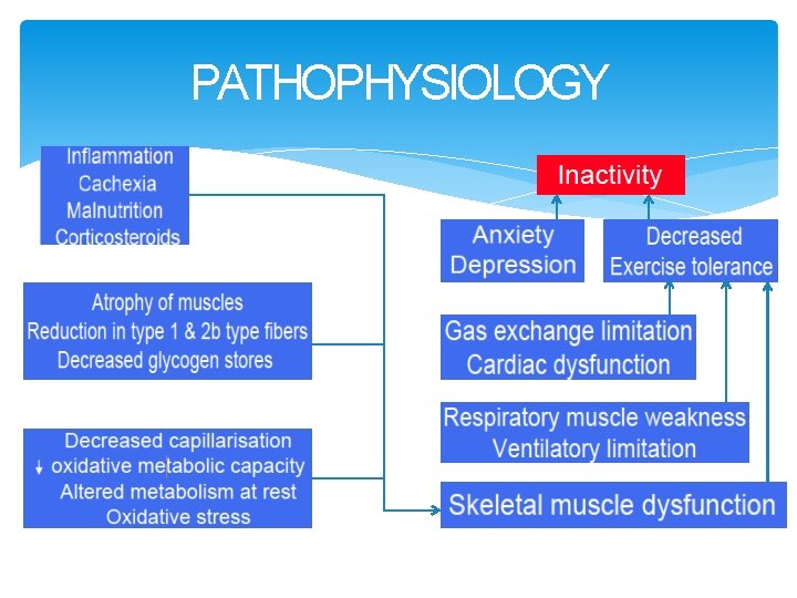 PATHOPHYSIOLOGY 