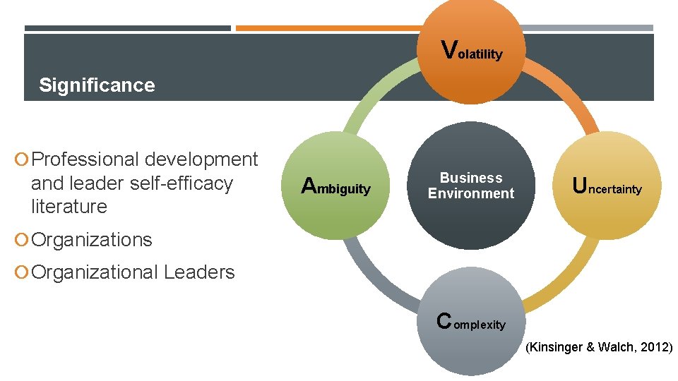 Volatility Significance Professional development and leader self-efficacy literature Ambiguity Business Environment Uncertainty Organizations Organizational