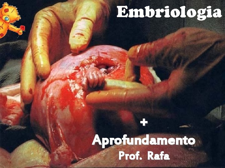 Embriologia + Aprofundamento Prof. Rafa 