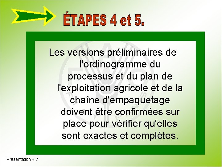 Les versions préliminaires de l'ordinogramme du processus et du plan de l'exploitation agricole et