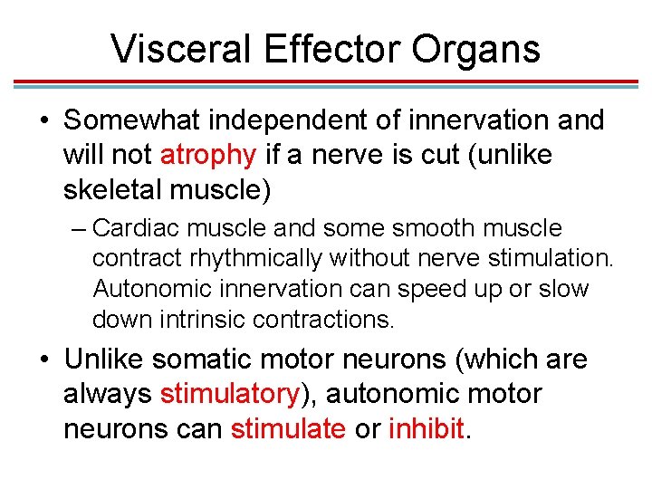 Visceral Effector Organs • Somewhat independent of innervation and will not atrophy if a