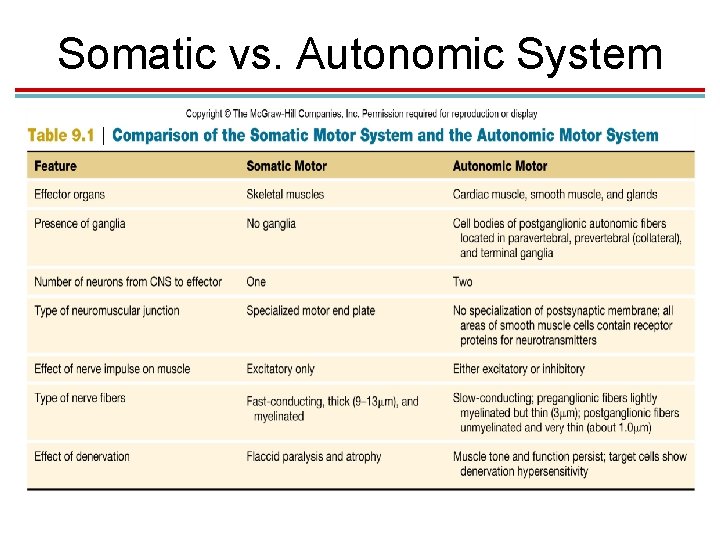 Somatic vs. Autonomic System 