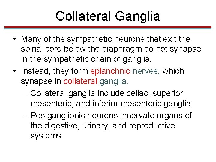 Collateral Ganglia • Many of the sympathetic neurons that exit the spinal cord below