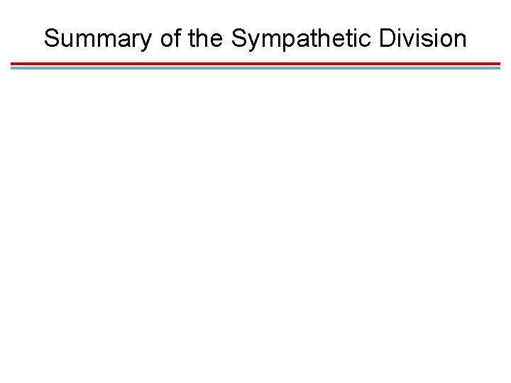 Summary of the Sympathetic Division 