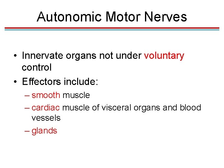 Autonomic Motor Nerves • Innervate organs not under voluntary control • Effectors include: –