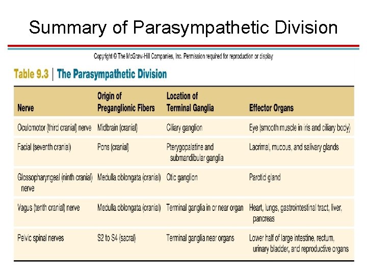 Summary of Parasympathetic Division 