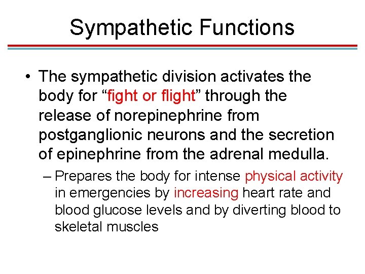 Sympathetic Functions • The sympathetic division activates the body for “fight or flight” through