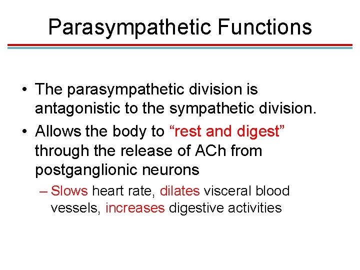 Parasympathetic Functions • The parasympathetic division is antagonistic to the sympathetic division. • Allows