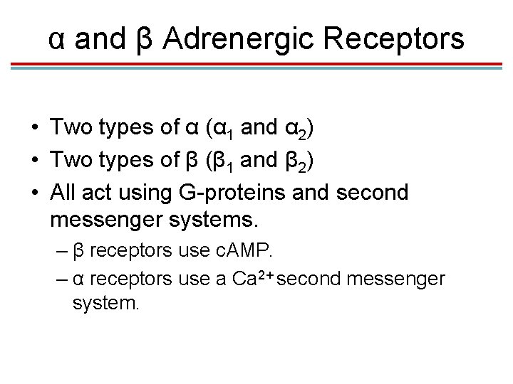 α and β Adrenergic Receptors • Two types of α (α 1 and α