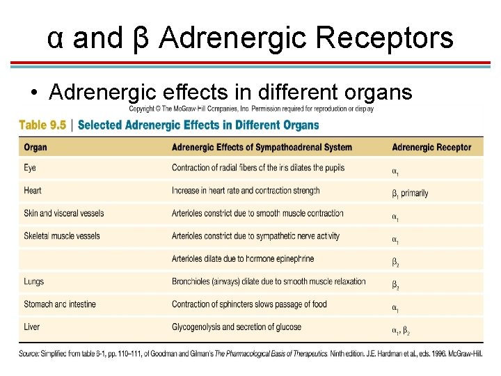 α and β Adrenergic Receptors • Adrenergic effects in different organs 