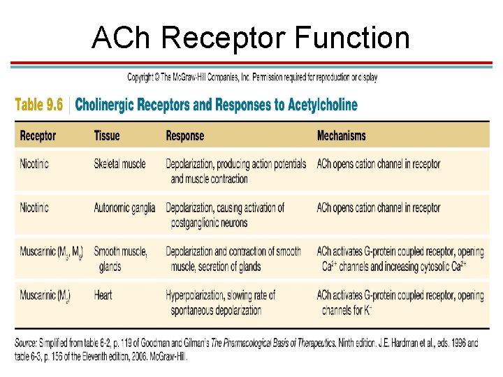 ACh Receptor Function 
