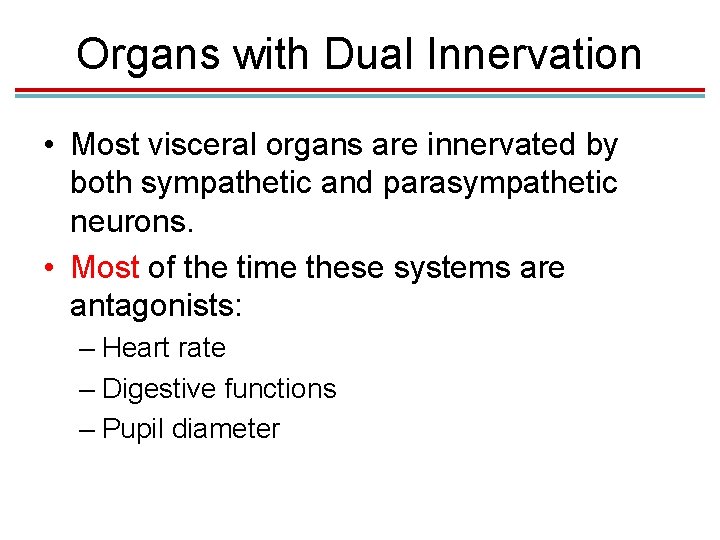 Organs with Dual Innervation • Most visceral organs are innervated by both sympathetic and