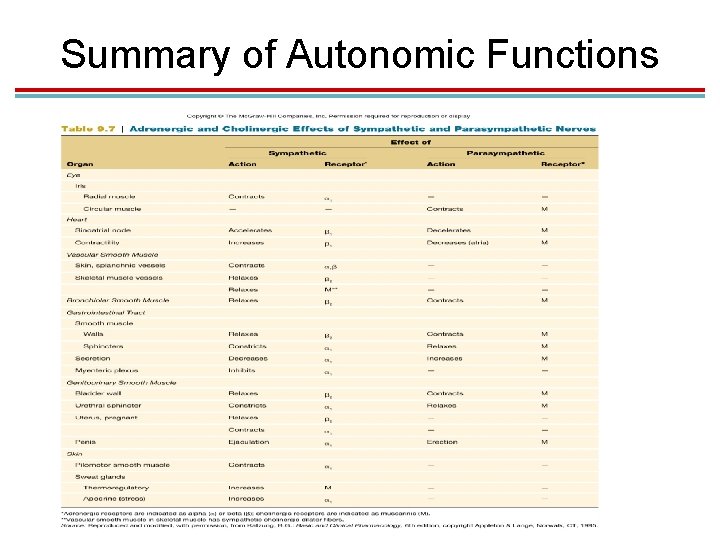 Summary of Autonomic Functions 