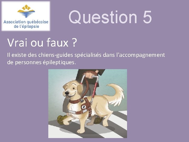 Question 5 Vrai ou faux ? Il existe des chiens-guides spécialisés dans l'accompagnement de